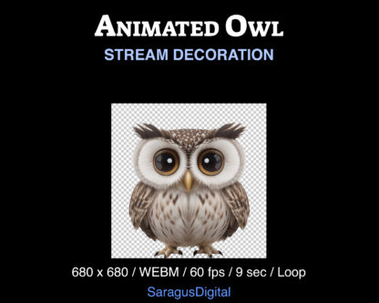 Animated owl stream decoration, cute magic Twitch overlay, fun asset for game streaming, just chatting for Streamers and Vtubers, dark academia, witchcore and wizardcore aesthetic